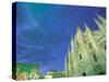 The Duomo, Lombardia, Milan, Italy-Walter Bibikow-Stretched Canvas