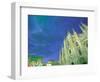 The Duomo, Lombardia, Milan, Italy-Walter Bibikow-Framed Photographic Print