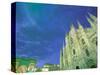 The Duomo, Lombardia, Milan, Italy-Walter Bibikow-Stretched Canvas