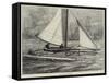 The Duplex Catamaran-William Heysham Overend-Framed Stretched Canvas