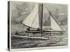 The Duplex Catamaran-William Heysham Overend-Stretched Canvas