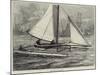 The Duplex Catamaran-William Heysham Overend-Mounted Giclee Print