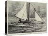 The Duplex Catamaran-William Heysham Overend-Stretched Canvas