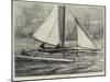 The Duplex Catamaran-William Heysham Overend-Mounted Giclee Print