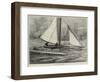 The Duplex Catamaran-William Heysham Overend-Framed Giclee Print