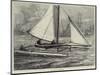 The Duplex Catamaran-William Heysham Overend-Mounted Giclee Print