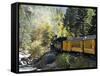 The Durango & Silverton Narrow Gauge Railroad, Colorado, USA-Cindy Miller Hopkins-Framed Stretched Canvas