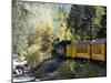 The Durango & Silverton Narrow Gauge Railroad, Colorado, USA-Cindy Miller Hopkins-Mounted Photographic Print