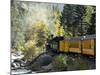 The Durango & Silverton Narrow Gauge Railroad, Colorado, USA-Cindy Miller Hopkins-Mounted Photographic Print