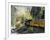 The Durango & Silverton Narrow Gauge Railroad, Colorado, USA-Cindy Miller Hopkins-Framed Photographic Print