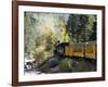 The Durango & Silverton Narrow Gauge Railroad, Colorado, USA-Cindy Miller Hopkins-Framed Photographic Print