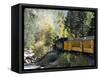 The Durango & Silverton Narrow Gauge Railroad, Colorado, USA-Cindy Miller Hopkins-Framed Stretched Canvas