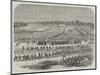 The Durbar, or Assembly of Native Princes and Nobles, Convened by Sir John Lawrence at Lahore-null-Mounted Giclee Print