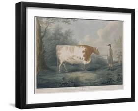 The Durham Ox, Engraved by J. Wessel, 1802-John Boultbee-Framed Giclee Print