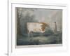 The Durham Ox, Engraved by J. Wessel, 1802-John Boultbee-Framed Giclee Print