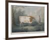 The Durham Ox, Engraved by J. Wessel, 1802-John Boultbee-Framed Giclee Print