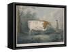 The Durham Ox, Engraved by J. Wessel, 1802-John Boultbee-Framed Stretched Canvas