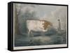 The Durham Ox, Engraved by J. Wessel, 1802-John Boultbee-Framed Stretched Canvas