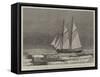 The Dutch Arctic Expedition-Walter William May-Framed Stretched Canvas