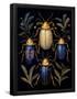 Essential Black