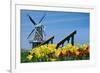 The Dutch Touch-14ktgold-Framed Photographic Print