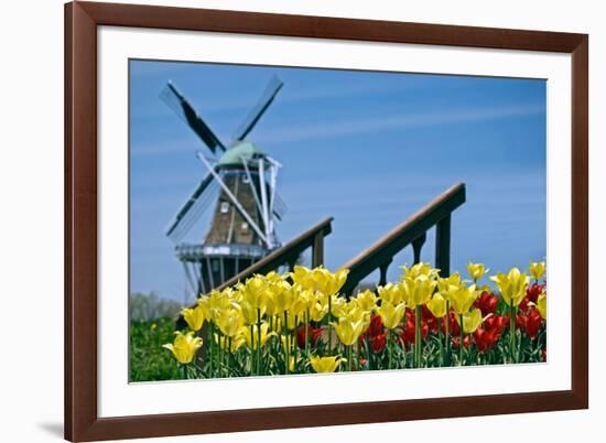 The Dutch Touch-14ktgold-Framed Photographic Print