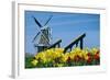 The Dutch Touch-14ktgold-Framed Photographic Print