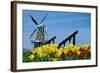 The Dutch Touch-14ktgold-Framed Photographic Print