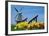 The Dutch Touch-14ktgold-Framed Photographic Print