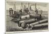 The Dutch War in Sumatra, Guns Captured at Acheen Lying at Rotterdam-null-Mounted Giclee Print