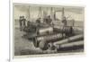 The Dutch War in Sumatra, Guns Captured at Acheen Lying at Rotterdam-null-Framed Giclee Print