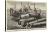 The Dutch War in Sumatra, Guns Captured at Acheen Lying at Rotterdam-null-Stretched Canvas