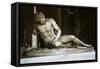 The Dying Gaul-null-Framed Stretched Canvas