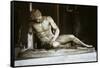 The Dying Gaul-null-Framed Stretched Canvas