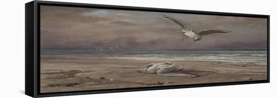 The Dying Sea Gull, 1879-Elihu Vedder-Framed Stretched Canvas