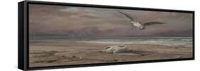 The Dying Sea Gull, 1879-Elihu Vedder-Framed Stretched Canvas