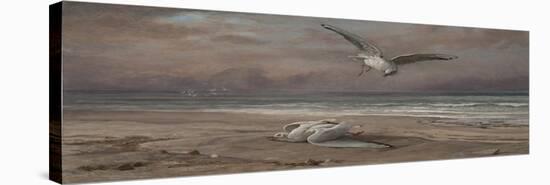 The Dying Sea Gull, 1879-Elihu Vedder-Stretched Canvas