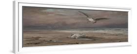 The Dying Sea Gull, 1879-Elihu Vedder-Framed Giclee Print