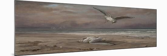 The Dying Sea Gull, 1879-Elihu Vedder-Mounted Giclee Print