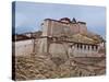 The Dzong (Fortress) of Gyantse, Tibet, China, Asia-Michael Runkel-Stretched Canvas