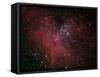 The Eagle Nebula-Stocktrek Images-Framed Stretched Canvas