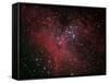 The Eagle Nebula-Stocktrek Images-Framed Stretched Canvas