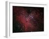 The Eagle Nebula-Stocktrek Images-Framed Photographic Print