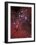 The Eagle Nebula-Stocktrek Images-Framed Photographic Print