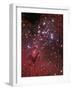 The Eagle Nebula-Stocktrek Images-Framed Photographic Print