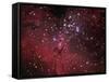 The Eagle Nebula-Stocktrek Images-Framed Stretched Canvas