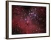 The Eagle Nebula-Stocktrek Images-Framed Photographic Print