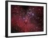 The Eagle Nebula-Stocktrek Images-Framed Photographic Print