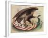 The Eagle's Nest, 1861-Science Source-Framed Giclee Print