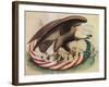 The Eagle's Nest, 1861-Science Source-Framed Giclee Print